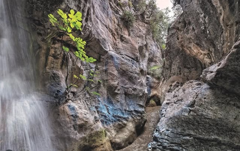 arvi gorge